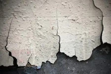 Identifying lead paint in an Annapolis home